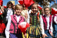 0117-pochod-polonia-polacy-fot.M.Paszkowska