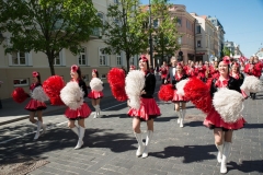 17-Polacy-przemarsz-fot-Marian-Dzwinel