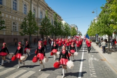18-Polacy-przemarsz-fot-Marian-Dzwinel
