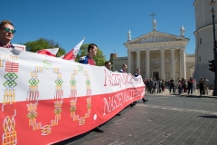 21-Polacy-przemarsz-fot-Marian-Dzwinel