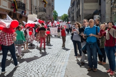 33-Polacy-przemarsz-fot-Marian-Dzwinel