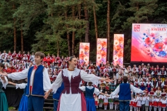 01215-Kwiaty-Polskie-ZPL-Wilno-fot-L24.lt-Wiktor-Jusiel
