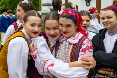 00113-KwiatyPolskie-Niemenczyn-fot-MarianDzwinel