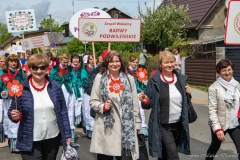 00295-KwiatyPolskie-Niemenczyn-fot-MarianDzwinel