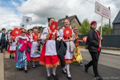 00421-KwiatyPolskie-Niemenczyn-fot-MarianDzwinel