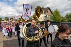 00456-KwiatyPolskie-Niemenczyn-fot-MarianDzwinel