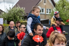 00526-KwiatyPolskie-Niemenczyn-fot-MarianDzwinel