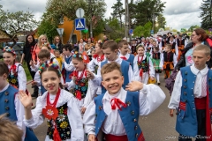 00568-KwiatyPolskie-Niemenczyn-fot-MarianDzwinel