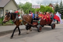 00610-KwiatyPolskie-Niemenczyn-fot-MarianDzwinel