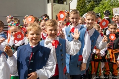 00617-KwiatyPolskie-Niemenczyn-fot-MarianDzwinel