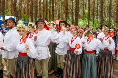 00620-KwiatyPolskie-Niemenczyn-fot-Jerzy-Karpowicz
