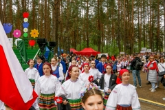 00634-KwiatyPolskie-Niemenczyn-fot-Jerzy-Karpowicz