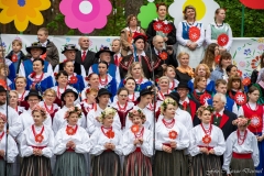 00724-KwiatyPolskie-Niemenczyn-fot-MarianDzwinel