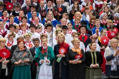 00836-KwiatyPolskie-Niemenczyn-fot-MarianDzwinel
