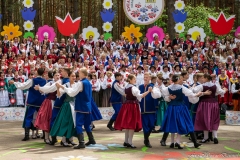 00913-KwiatyPolskie-Niemenczyn-fot-MarianDzwinel