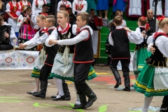 00920-KwiatyPolskie-Niemenczyn-fot-MarianDzwinel