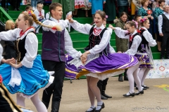 00927-KwiatyPolskie-Niemenczyn-fot-MarianDzwinel
