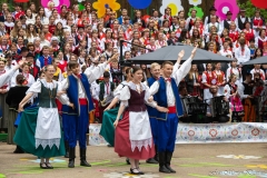 00934-KwiatyPolskie-Niemenczyn-fot-MarianDzwinel