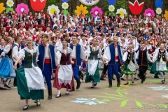 00941-KwiatyPolskie-Niemenczyn-fot-MarianDzwinel