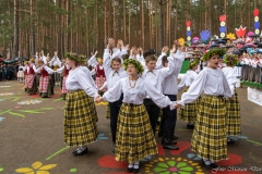 00997-KwiatyPolskie-Niemenczyn-fot-MarianDzwinel