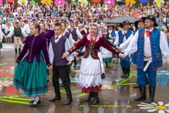01025-KwiatyPolskie-Niemenczyn-fot-MarianDzwinel