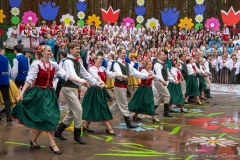 01032-KwiatyPolskie-Niemenczyn-fot-MarianDzwinel