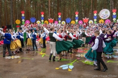 01039-KwiatyPolskie-Niemenczyn-fot-MarianDzwinel