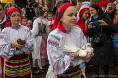 01074-KwiatyPolskie-Niemenczyn-fot-MarianDzwinel