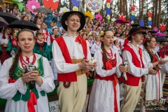 01081-KwiatyPolskie-Niemenczyn-fot-MarianDzwinel