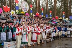 01095-KwiatyPolskie-Niemenczyn-fot-MarianDzwinel