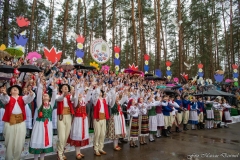 01109-KwiatyPolskie-Niemenczyn-fot-MarianDzwinel