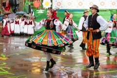 01123-KwiatyPolskie-Niemenczyn-fot-MarianDzwinel