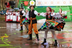 01130-KwiatyPolskie-Niemenczyn-fot-MarianDzwinel