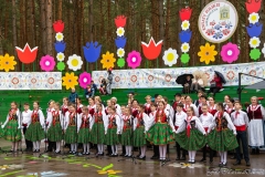 01137-KwiatyPolskie-Niemenczyn-fot-MarianDzwinel