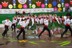 01144-KwiatyPolskie-Niemenczyn-fot-MarianDzwinel