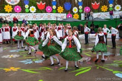 01151-KwiatyPolskie-Niemenczyn-fot-MarianDzwinel