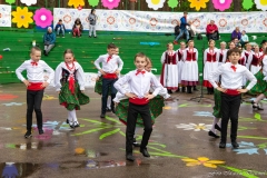 01158-KwiatyPolskie-Niemenczyn-fot-MarianDzwinel