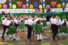 01165-KwiatyPolskie-Niemenczyn-fot-MarianDzwinel