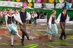01179-KwiatyPolskie-Niemenczyn-fot-MarianDzwinel