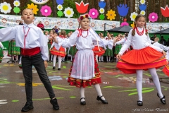 01193-KwiatyPolskie-Niemenczyn-fot-MarianDzwinel