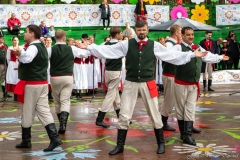01235-KwiatyPolskie-Niemenczyn-fot-MarianDzwinel