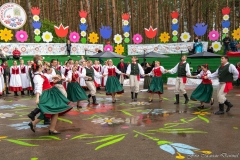 01249-KwiatyPolskie-Niemenczyn-fot-MarianDzwinel