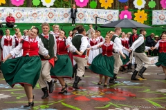 01256-KwiatyPolskie-Niemenczyn-fot-MarianDzwinel