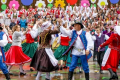 01313-KwiatyPolskie-Niemenczyn-fot-Jerzy-Karpowicz