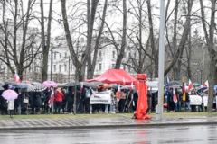 0096-Wiec-Wilno-MSZ-szkoly-fot-L24.lt-Wiktor-Jusiel