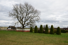 0100-VD120220512_